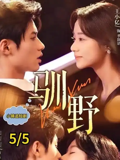 十九楼的灯职场群像剧全集